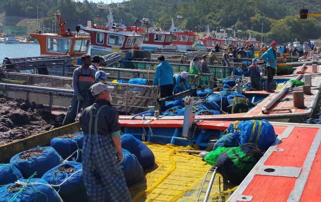 전남도, 김 수출 3억 달러 돌파